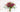 Pick the Perfect Valentine’s Blooms for Every Stage of Your Relationship