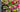 The flowers behind the anniversary milestones