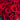50 Red Rose Bouquet