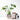 Monstera Plant Lovers Set
