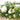 Country Garden Heart Wreath