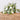 Country Garden Tied Sheaf