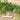 Foliage Garland