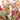 Autumn Affection Bouquet