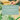 experienced florist job manchester