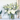 Anniversary Flowers
