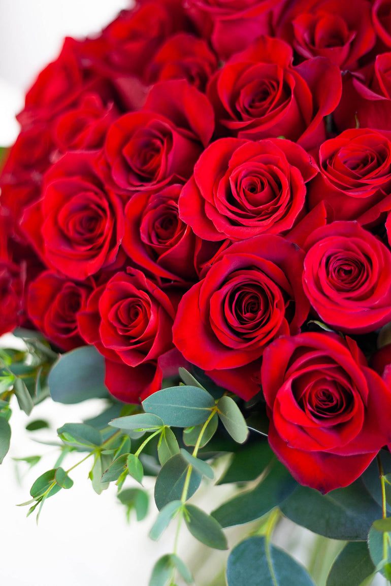 Flowers Delivered Manchester | Local Florist | The Flower Lounge