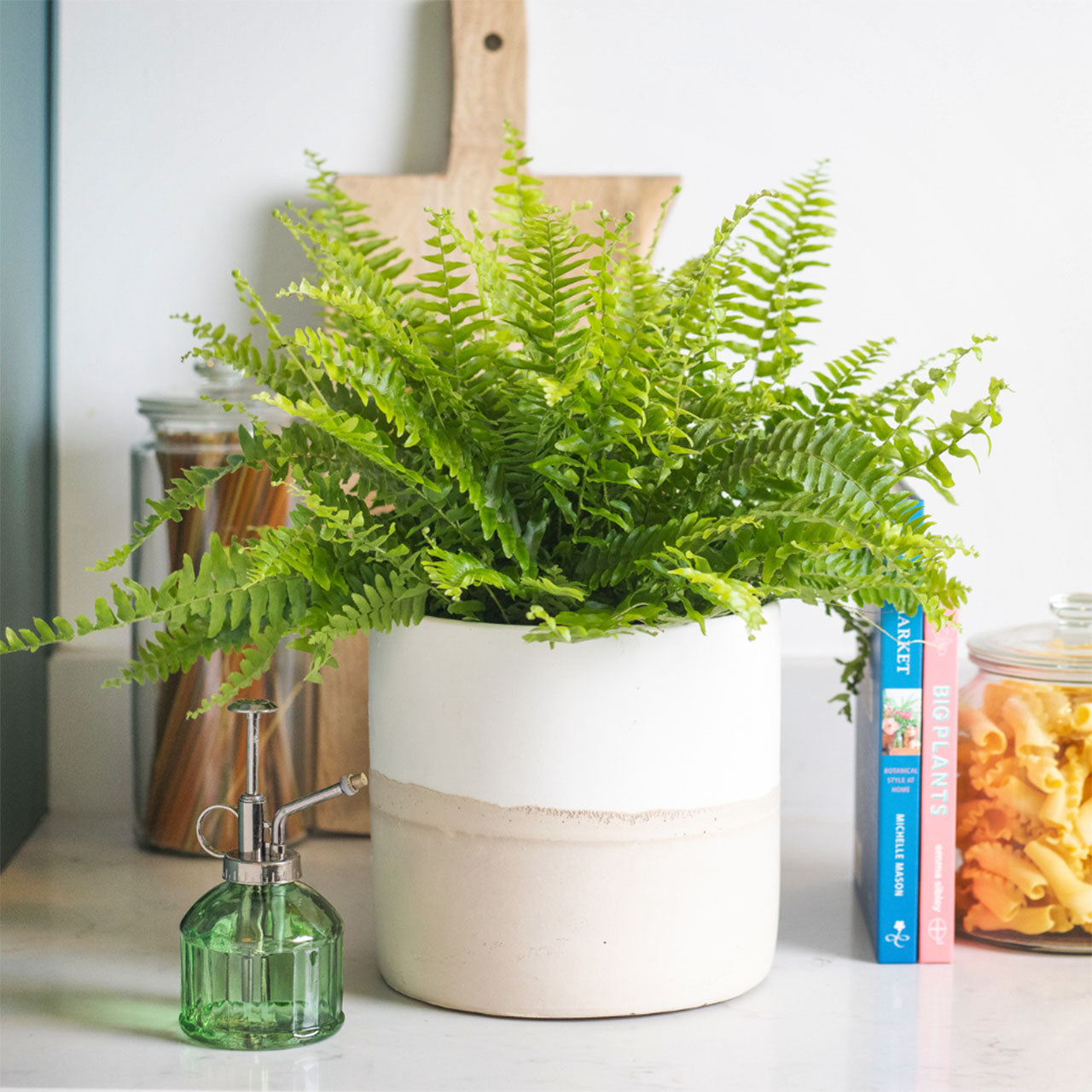 Home & Gifts The Flower Lounge