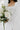 classic white and green bridal bouquet in natural style from Manchester wedding florist The Flower Lounge