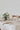 classic white and green table centre for wedding table from manchester wedding florist The Flower Lounge.